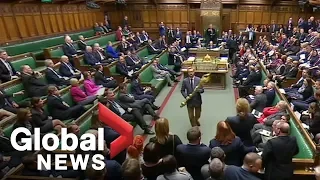 Brexit: British MP seizes mace, tossed from parliament