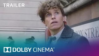 Fantastic Beasts: The Crimes of Grindelwald | Trailer | Dolby Cinema | Dolby