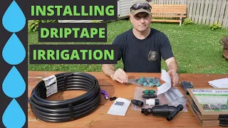 THIS IS A GAME CHANGER!!!   INSTALLING DRIPTAPE IRRIGATION   #24