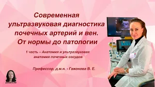 Современная ультразвуковая диагностика почечных артерий и вен. ч.1. Гажонова В.Е.