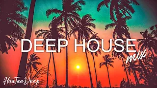 Avicii, Calvin Harris, Kygo, Alok, Robin Schulz, David Guetta, Gryffin   Summer Vibes Mix #255