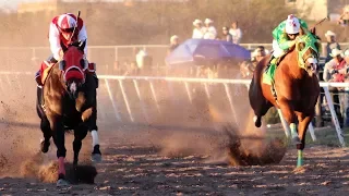 Carreras de Caballos en Cumpas 16 de  Febrero 2019