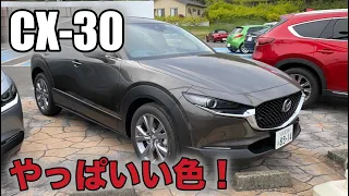 【MAZDA CX-30】やっぱりいい色！チタニウムフラッシュマイカ