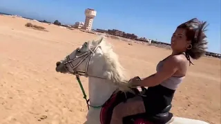 horse riding trip Hurghada #redsea #ägypten #beach #hurghada #summer #deutschland #egypt #belarus