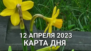 12 апреля 2023 | карта дня | все знаки зодиака 🃏🍀💫