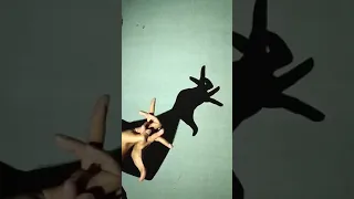 rabbit by hand shadow #shorts