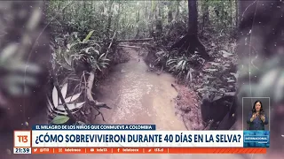 Milagro en la selva: La increíble historia de los niños sobrevivientes