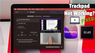 How To Fix MacBook Pro M1 Trackpad Not Working! [MacOS Monterey]