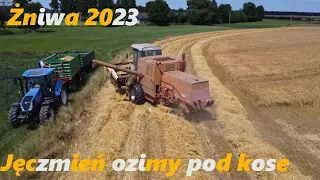 Pierwsze Żniwa jęczmienia ozimego 2023 w okolicy🔥Ryk Bizona⛔New Holland | Zetor| Bizon z056💪GrMatyba