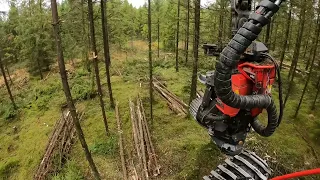 Komatsu 901xc First Thinning with a lot of Multi Tree Handling