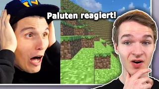 Paluten hat auf mein Spiel reagiert - Ich antworte!