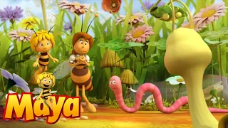 The Queen's messenger - Maya the Bee - Episode 3