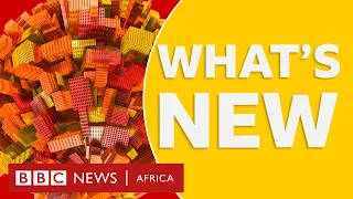 BBC Africa: Rwanda genocide the history of what happened plus other stories - BBC What's New