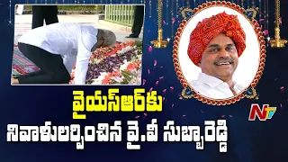 YV Subbaredy Pays Tribute To YS Rajashekar Reddy | YSR Jayanathi  Celebrations | NTV