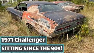 BARN FINDS| 1971 CHALLENGER IN THE WEEDS! It’s actually solid too!