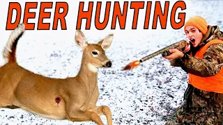 DEER HUNTING with 12 Gauge Shotgun!