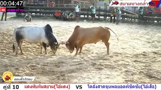 ไฮไลน์รอบรั้วสุดมัน แดงทับทิมสยาม (ไอ้แดง) vs ลังสาดขุนพลยอดพิชิตชัย (ไอ้เสือ)