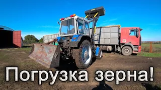 Сдаем пшеницу со склада! ЮМЗ-8280 КУН GENERAL 2000.