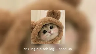 tak ingin pisah lagi sped up