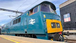 The Class 52 Western D1015 Western Champion at Reading on The One Way Wizzo 14TH April 2024