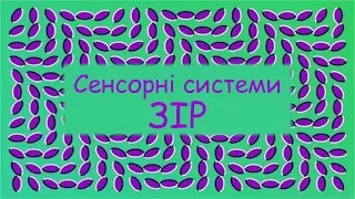 Сенсорні системи. Зоровий аналізатор. Будова ока. Зір