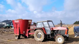 Czy Paszowóz podwyższa produkcję mleczną??? Mit czy Prawda?!!!