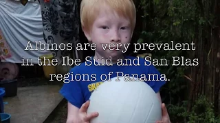 Albinism PSA