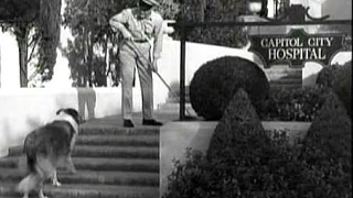 Lassie - Episode #132 - "The Hospital" - Season 4, Ep #29 - 3/23/1958