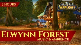 Vanilla Elwynn Forest Music & Ambience (3 hours, World of Warcraft Classic)