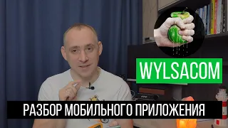 Унижение и боль - разбор мобильного приложения Wylsacom / ITКультура