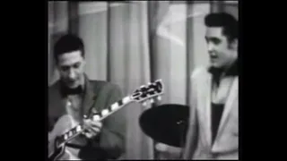 Hound Dog Elvis Presley