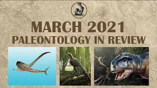 New Fossils and Paleontology- March 2021