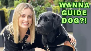 What You Should Know Before Getting A Guide Dog…