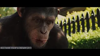 Цезарь нападает на соседа. Восстание планеты обезьян (2011) год.