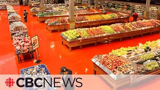 Loblaws, Sobeys owners under investigation by Competition Bureau