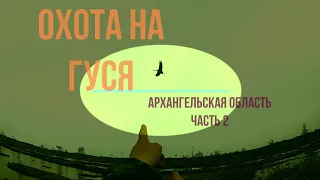 Один день охоты на гуся. Часть 2.. весна 2022. Архангельская область.