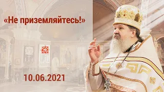 Проповедь о. Андрея Лемешонка после Литургии на Вознесение Христово.10 июня 2021 г.