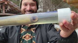 The Invasive Sea Lamprey   The Great Lakes Roadtrip Live