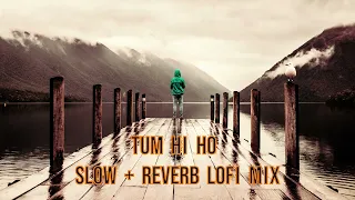 Tum Hi Ho (Slowed + Reverb) | Arijit Singh | Aashiqui 2 | TuneFusion