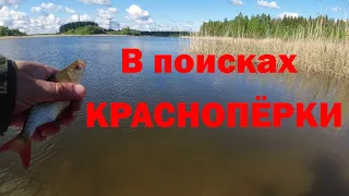 #343 Мормышинг | В поисках красноперки |