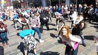 Norwich BID Flash Mob " Shake your tail feather"