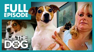 The Panty Thief: Peanut | Full Episode | It's Me or the Dog