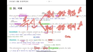 2022년 11월 고1 모의고사 영어 30번 내신대비 요청자료(상세한 설명) 아삭영어-손글씨정리[옥신의 줄기와 뿌리 작용]