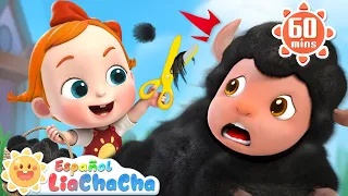 Bee Bee Oveja Negra | Canción de la Granja | LiaChaCha en Español - Canciones Infantiles