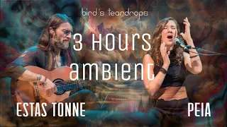 Bird's Teardrops - 3 Hours Ambient - Estas Tonne feat. Peia Luzzi - Ethereal Cinematic Slowed Down