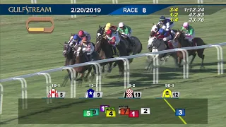 Gulfstream Park February 20, 2019 Race 8