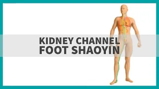 TCM Anatomy: Kidney Channel of Foot Shaoyin