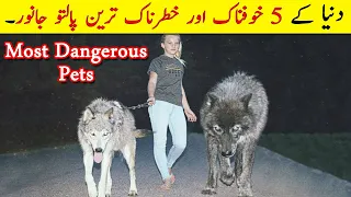 Top 5 Most Scariest Pets People Actually Own In Urdu/Hindi . 5 Most Unusual Pets in the World