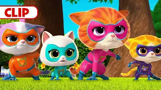 Mr. Puppypaws Digs Holes! | SuperKitties | @disneyjunior​