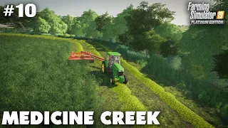 Medicine Creek #10 Mowing & Baling  Alfalfa, Farming Simulator 19 Timelapse